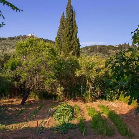 Bellazante Country Villas * Kato Yerakarion