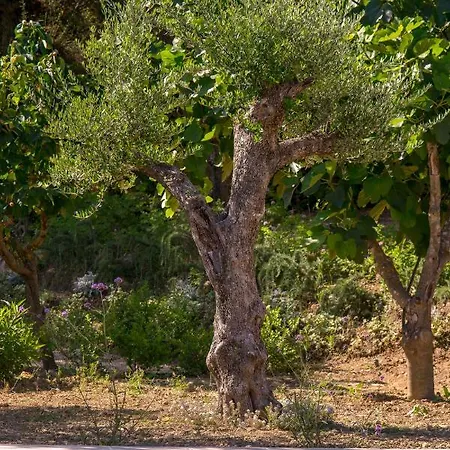 Bellazante Country Villas Kato Yerakarion